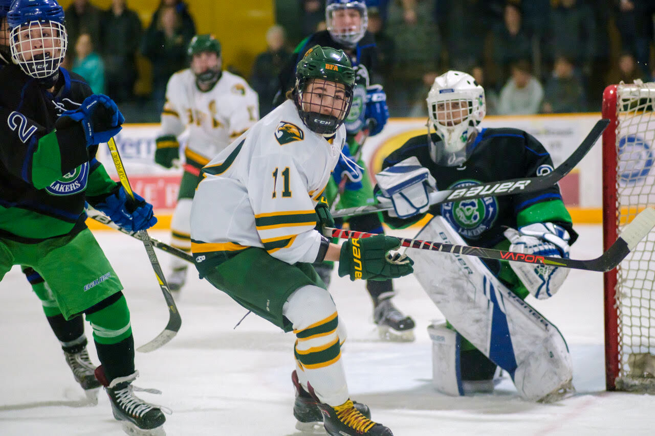 Bobwhite hockey